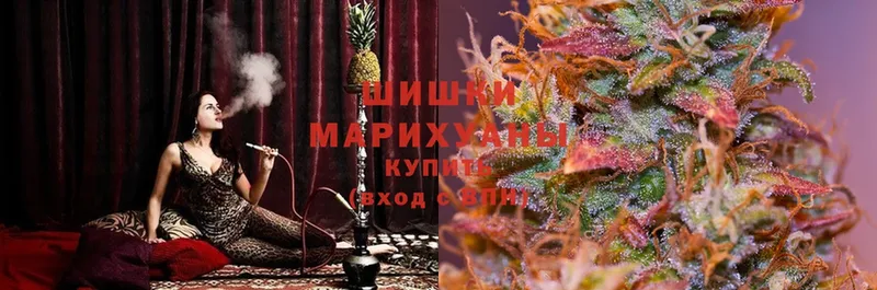 Шишки марихуана THC 21%  Ардатов 